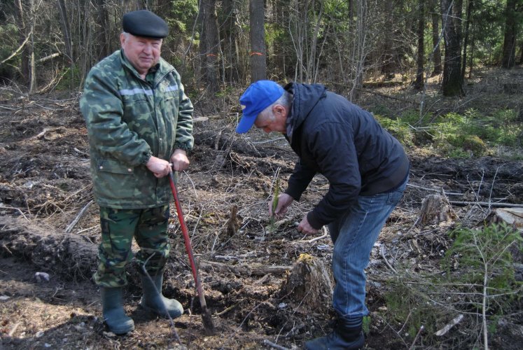 чуваш Г.А.Александров