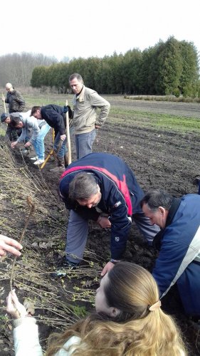 ВСЕМ ИНТЕРНАЦИОНАЛОМ ДРУЖНО ЗА РАБОТУ