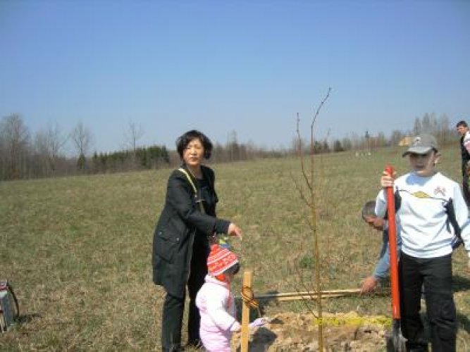 Посадка руководителями национально-культурных объединений Беларуси Аллеи Дружбы в Белорусском государственном музее народной архитектуры и быта - фото 7