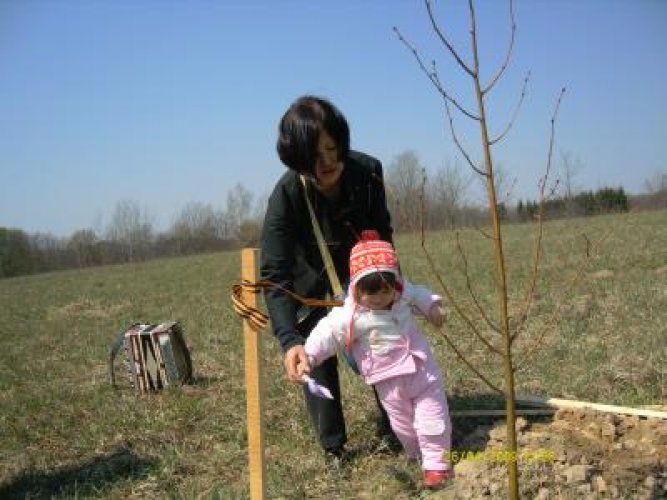 Посадка руководителями национально-культурных объединений Беларуси Аллеи Дружбы в Белорусском государственном музее народной архитектуры и быта - фото 6