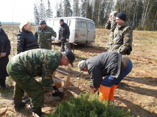 В посадке елей в Раковском лесничестве Воложинского лесхоза принимали участие вместе с сотрудниками аппарата Уполномоченного представители немецкого, польского, русского, татарского, чувашского национально-культурных общественных объединений. 