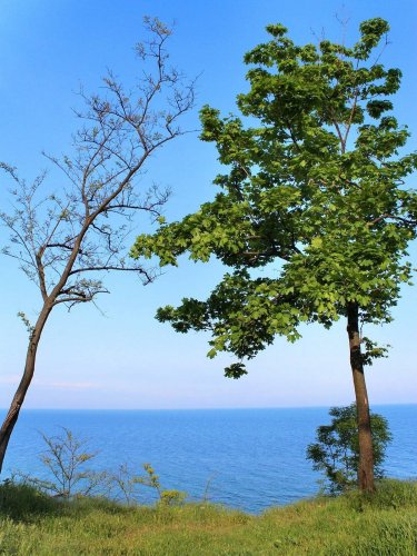 НА ЬЕРЕГУ ЧЕРНОГО МОРЯ. САНАТОРИЙ ИМЕНИ ГОРЬКОГО В г.ОДЕССЕ, ГДЕ ОСТАНОВИЛАСЬ БЕЛОРУССКАЯ ДЕЛЕГАЦИЯ.