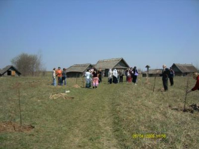 Посадка руководителями национально-культурных объединений Беларуси Аллеи Дружбы в Белорусском государственном музее народной архитектуры и быта - фото 5